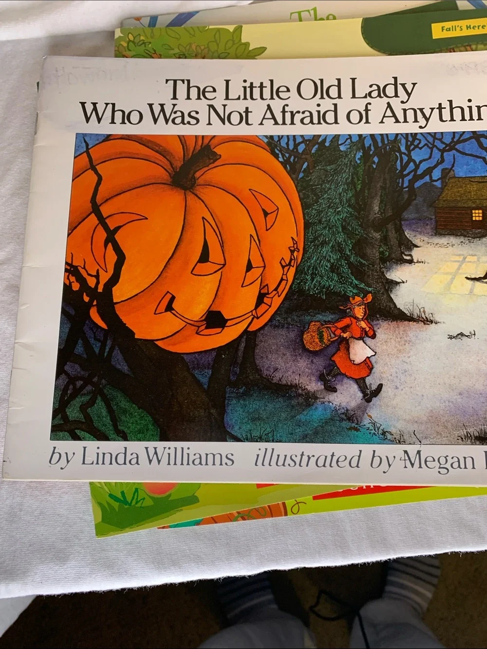 Scholastic Childrens book Bundle